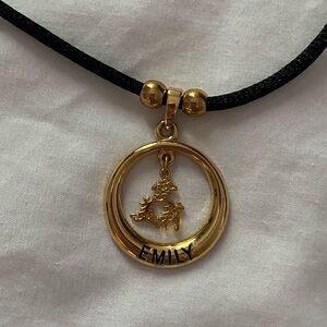 Chinese EMILY Hanzi Characters Adjustable Necklace